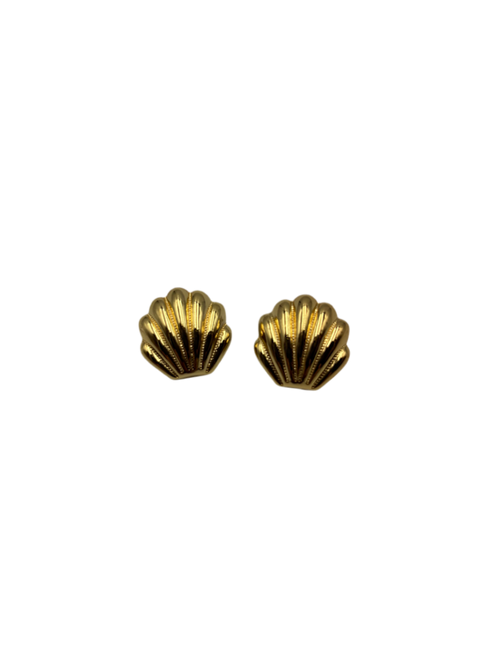 Boucles d’oreilles Coquillage